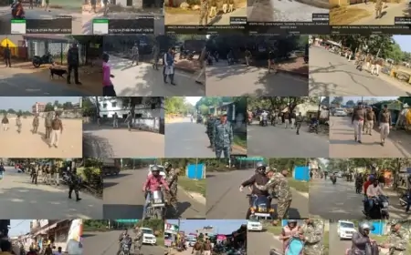 Saraikela Operation: अपराधियों पर 'ऑपरेशन प्रहरी' का शिकंजा, महिलाओं की सुरक्षा पर विशेष ध्यान