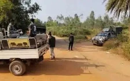 Chakulia Tiger Alert: चाकुलिया में बाघिन की तलाश, ओडिशा से भागकर बंगाल सीमा में घुसी