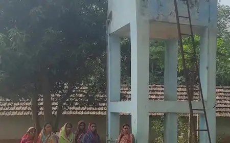 Solar Panel Theft: चाकुलिया के बड़सोल गांव में सोलर पैनल चोरी, पानी की किल्लत से जूझ रहे ग्रामीण!