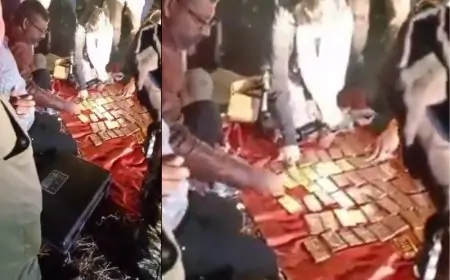 Income Tax Raid: भोपाल में कार से मिला 52 किलो सोना और 10 करोड़ कैश, आईटी की छापामारी से मचा हड़कंप