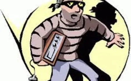 Gorakhpur Theft: एमएलसी के फार्महाउस से 9 सोलर बैटरियां गायब, पुलिस पर सवाल