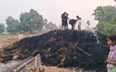 Agricultural Loss : हिसुआ में लगी आग, लाखों का धान जलकर राख – क्या यह सिर्फ एक दुर्घटना थी?