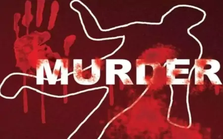 Jamshedpur Murder  : पेड़ उखाड़ने को लेकर विवाद में अधेड़ की हत्या, दो भाइयों पर गंभीर आरोप
