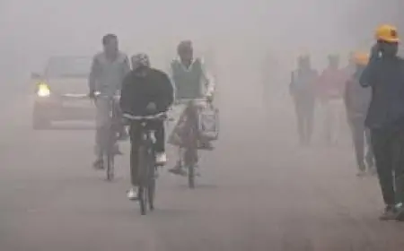 Jharkhand Weather : Jharkhand में ठंड का बढ़ता असर, धुंध और बारिश का अलर्ट जारी!