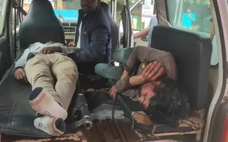 Road Accident: Chakulia-Bende सड़क पर हुआ भीषण हादसा, बाइक और साइकिल की टक्कर में दो लोग गंभीर रूप से घायल