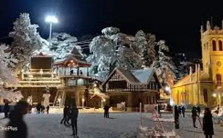 Shimla Weather: Shimla में बर्फबारी का रोमांच: जानिए कैसे पर्यटकों ने पहली बार देखी बर्फबारी!