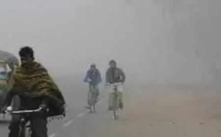 Nawada Weather: सुबह घना कोहरा, दोपहर की धूप और बढ़ती सर्दी से लोगों की मुश्किलें बढ़ीं