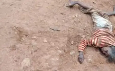 Chaibasa Elephant Attack: हाथी ने घर में सो रही वृद्धा को बाहर खींचकर कुचला, मौत
