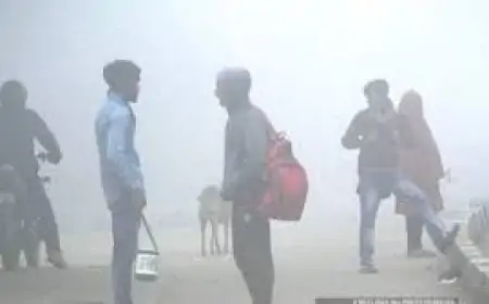 Jharkhand Weather: 28 दिसंबर से इन जिलों में बारिश के आसार, ठंड बढ़ने की चेतावनी!