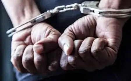 Simdega Attempt: पशु तस्करों ने पुलिस को कुचलने की कोशिश, चार गिरफ्तार