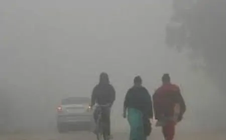Jharkhand Weather Update: तेज बारिश से 17 जिलों में सर्दी का असर बढ़ेगा, पारा 5 डिग्री तक लुढ़कने की संभावना