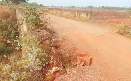 Chakulia Road Issues : चाकुलिया में जर्जर पुलिया बनी जानलेवा खतरा, बड़ी दुर्घटना की संभावना
