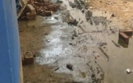 Nawada Water Logging Issue : गली में जलजमाव से परेशानियां, वीआईपी कॉलोनी में संक्रामक बीमारी का खतरा
