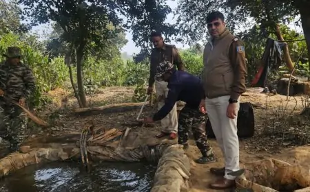 Neemdih Police Action Illegal Liquor & Drunk Driving: अवैध शराब भट्टी नष्ट, ड्रंक एंड ड्राइव पर कार्रवाई