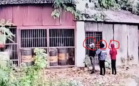 Jamshedpur Mango Moon City Theft Attempt. : मून सिटी में चोरी की कोशिश: एक युवक पकड़ा, दो फरार