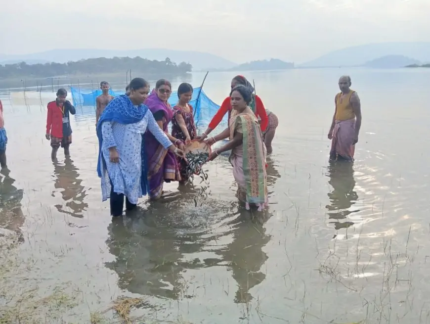 Dimna Lake Initiative: छोड़ी गईं 7.5 लाख मछलियां, जानें कैसे बदलेगा विस्थापित परिवारों का भविष्य