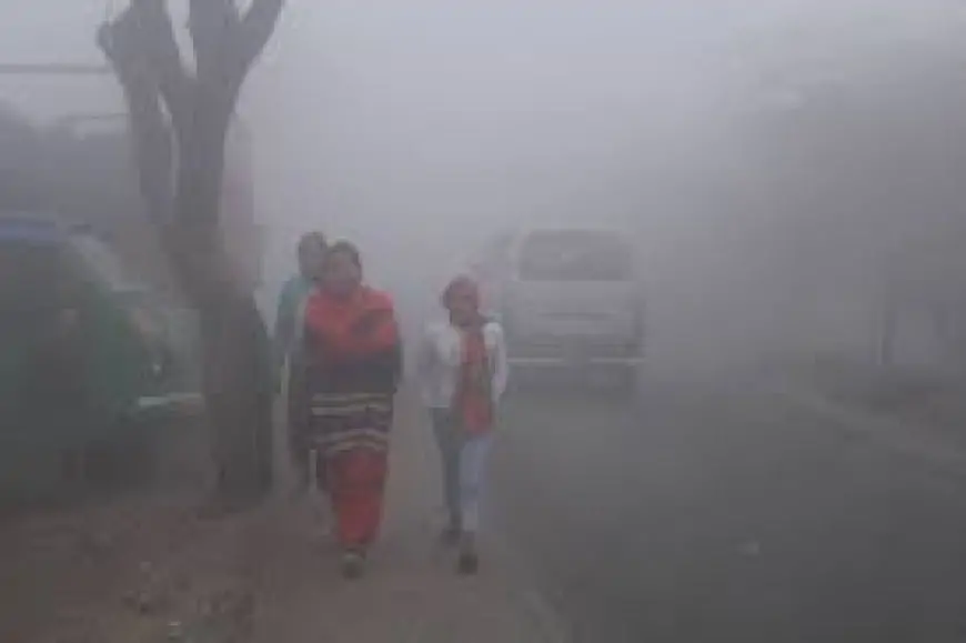 Jharkhand Weather Alert: घना कोहरा और बारिश का येलो अलर्ट, ठंड में इजाफा