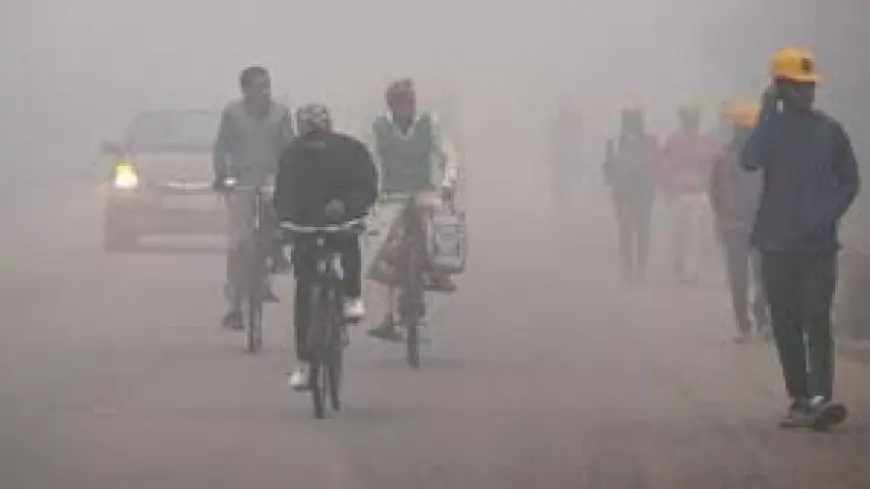 Jharkhand Weather : Jharkhand में ठंड का बढ़ता असर, धुंध और बारिश का अलर्ट जारी!