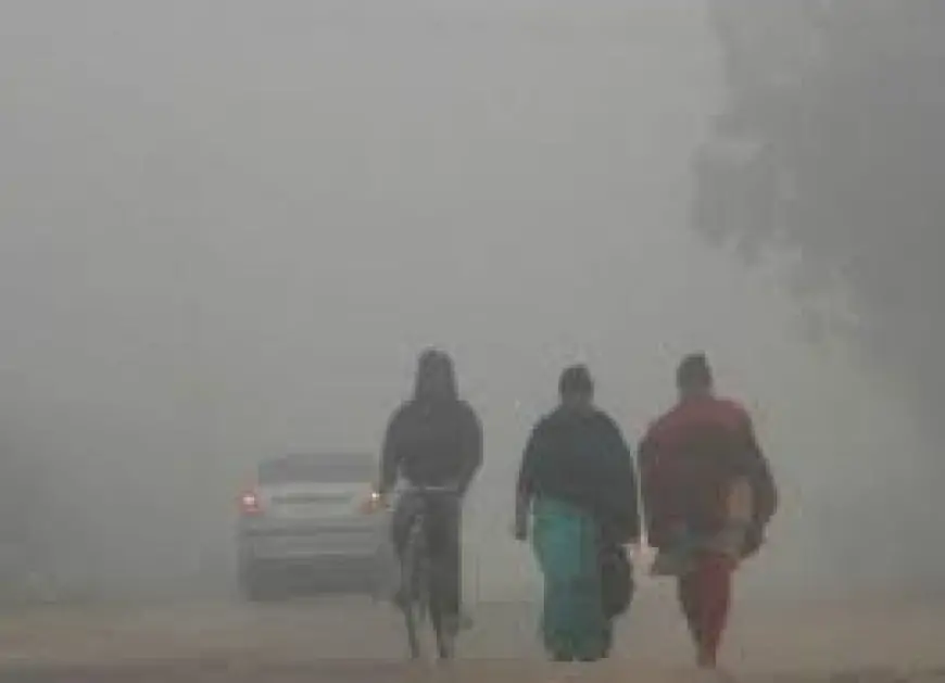 Jharkhand Weather Update: तेज बारिश से 17 जिलों में सर्दी का असर बढ़ेगा, पारा 5 डिग्री तक लुढ़कने की संभावना