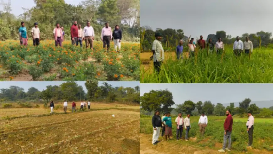 Jamshedpur Agriculture Inspection : जमशेदपुर में कृषि योजनाओं का जोरदार निरीक्षण, किसानों को मिले नए अवसर!