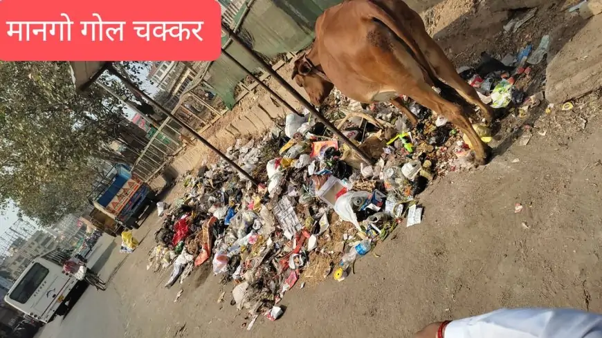 Mango Garbage Problems: कचरा और पानी की समस्या से जनता परेशान, नगर निगम की निष्क्रियता पर बढ़ रहा आक्रोश