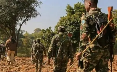 Jharkhand Police: माओवादी खतरे पर बड़ी कार्रवाई, 244 गिरफ्तार और 239 IED नष्ट