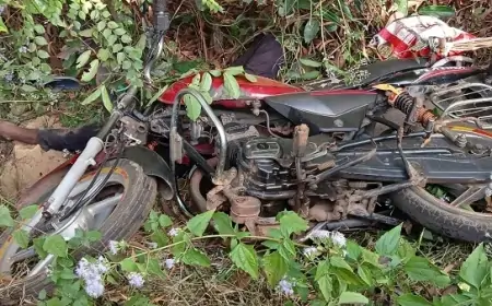 Chakulia Accident News: सड़क किनारे मृत मिला युवक, बाइक दुर्घटना से मौत की आशंका