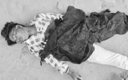 Khadiya Accident: खड़िया कॉलोनी में तेज रफ्तार बाइक और गाय की टक्कर से दो युवक गंभीर घायल