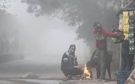 Jharkhand Weather: बर्फीली हवाओं का सितम, पारा 7 डिग्री नीचे, 5 जनवरी से बदलाव की उम्मीद