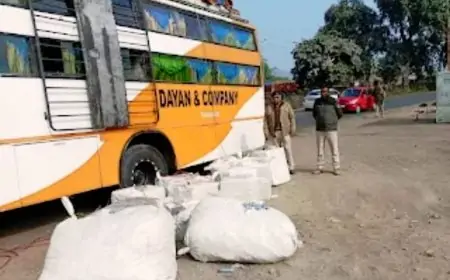Nawada Smuggling: शराब की बोतलों का पर्दाफाश, बस से हजारों खाली बोतलें और QR कोड बरामद!