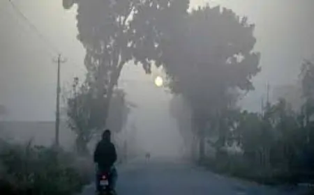 Jharkhand Weather: आज इन जिलों में घना कोहरा, जानें 6 जनवरी के बाद का मौसम!