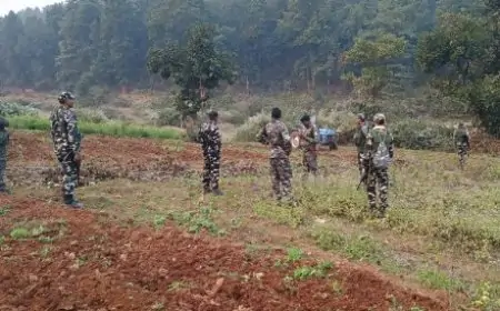 Saraikela Crackdown: Illegal Farming के खिलाफ पुलिस का बड़ा अभियान, 21.5 एकड़ में फैली अफीम की खेती नष्ट