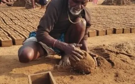 Bokaro Struggle: पेंशन के लिए 12 साल से भटक रहे भूषण कपरदार, मजबूरी में कर रहे मजदूरी