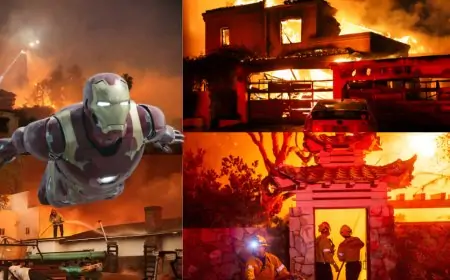 Los Angeles Fire : IRON MAN आग की खौफ से घर छोड़ फरार