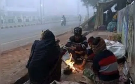 Jharkhand Mausam: ठंड ने तोड़ा रिकॉर्ड, 11 जिलों में घने कोहरे का अलर्ट! जानिए वीकेंड का हाल