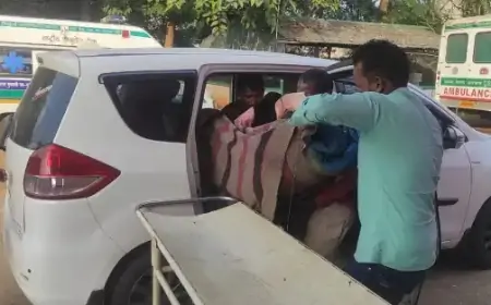 Elephant Attack: चाकुलिया ब्लॉक में हाथी के हमले से वृद्ध महिला गंभीर रूप से घायल, ग्रामीणों में दहशत!