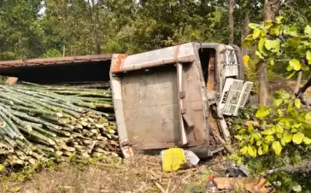 Gudabanda Truck Accident: ट्रक पलटने से मजदूर घायल, क्या है बांस व्यापार से जुड़ी यह चौंकाने वाली घटना?