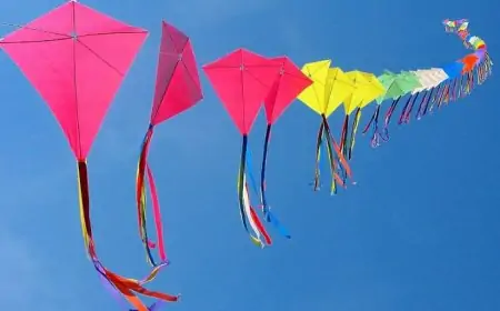 Jamshedpur Makar Sankranti : मकर संक्रांति पर सूर्य मंदिर में भव्य पतंग महोत्सव, मिलेगा आकर्षक पुरस्कार