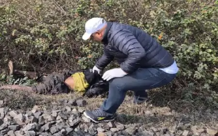 Hazaribagh Mystery: रेलवे ट्रैक के पास मिला अधेड़ का शव, इलाके में फैली सनसनी!