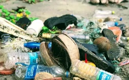 Fight Over Garbage: कचरा जलाने को लेकर हुआ बड़ा विवाद, युवक की गर्दन पर हमला, युवक गंभीर रूप से घायल !