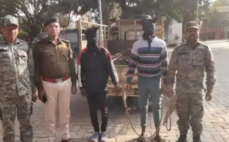 Saraikela Police: पुलिस ने पकड़ा अवैध लोहा ले जा रहे वाहन को, दो अभियुक्त गिरफ्तार, मुख्य आरोपी की तलाश में पुलिस!