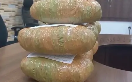 Jamshedpur Bust: बड़शोल थाना पुलिस ने 8 किलो गांजा के साथ तस्कर को किया गिरफ्तार