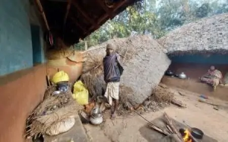 Chakulia Chaos: चाकुलिया में जंगली हाथियों का आतंक, गोदाम से लेकर घर तक मचाई तबाही