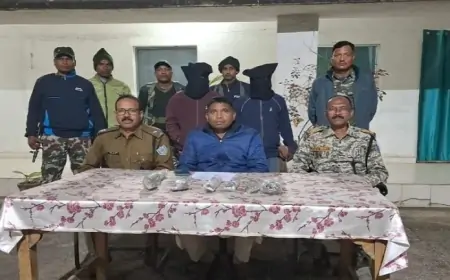 Kuchai Opium Smuggling: कुचाई में Opium तस्करों की गिरफ्तारी से मचा हड़कंप – पुलिस ने नष्ट की 5.3 एकड़ की अवैध फसल!