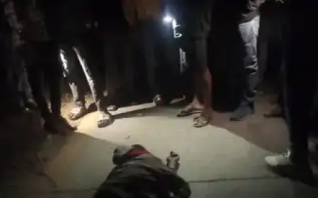 Jamshedpur Rural Accident: Bagharaoda में अज्ञात वाहन की चपेट में आने से साइकिल सवार की मौत