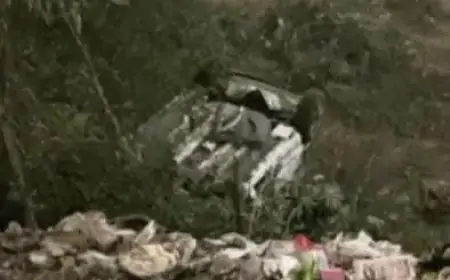 Jamshedpur Accident: कदमा टोल ब्रिज से नदी में गिरी कार, बड़ा हादसा टला