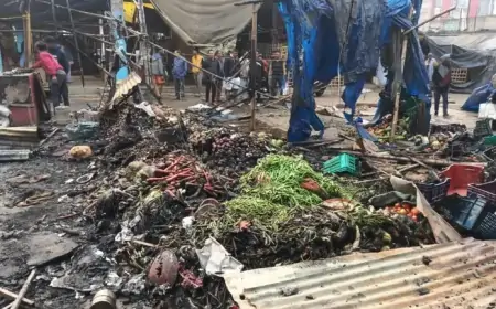 Saraikela Fire: गम्हरिया सब्जी बाजार में भीषण आग, 20 से ज्यादा दुकानें खाक