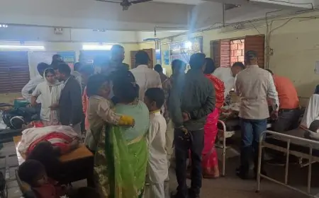 Latehar Road Accident: गणतंत्र दिवस मनाकर लौट रहे बच्चों से भरा टैंपो पिकअप से टकराया, 12 घायल