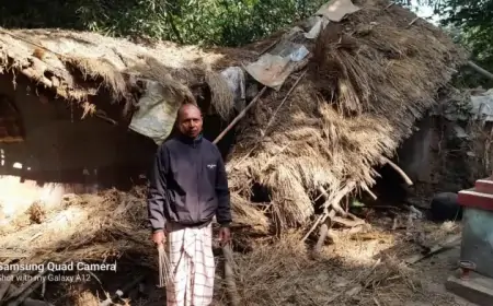 Jamshedpur Elephant : चाकुलिया में हाथी का कहर, धान के लिए लैंपस और घरों में मचाया उत्पात!