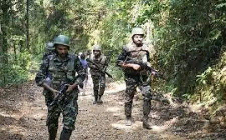West Singhbhum Encounter : सोनुआ में सुरक्षाबलों और नक्सलियों के बीच मुठभेड़, दो नक्सली ढेर, एक जवान घायल